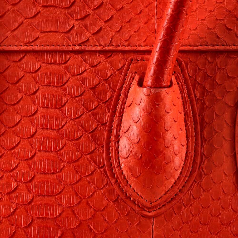 Celine Luggage Bag Python Mini #240768C11B - image 6